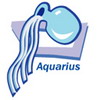 2 11 aquarius